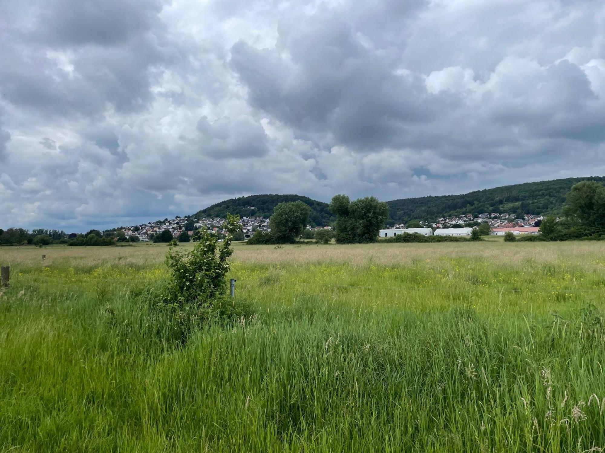 Graues Zimmer In Wohnung Mit Balkon Gelnhausen Εξωτερικό φωτογραφία